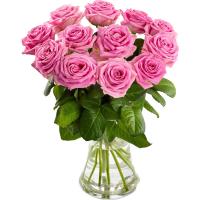 12 Pink Roses